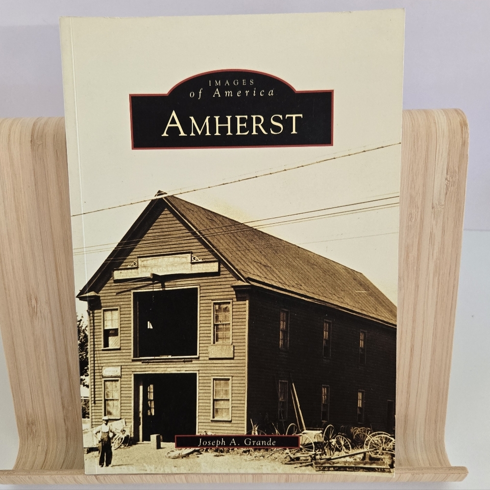 Amherst Images of America Joseph A Grande 2004 Arcadia PB New York State -VG